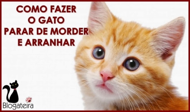 Quem realmente deixou também de fumar que ajudou